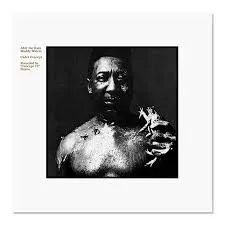 Album artwork for After The Rain by Muddy Waters