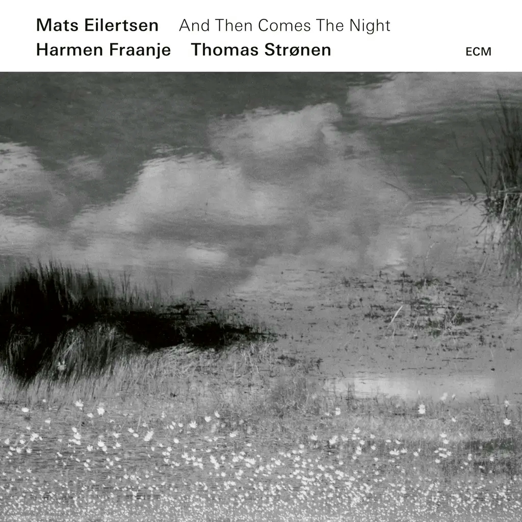 Album artwork for And Then Comes The Night by Mats Eilertsen Trio