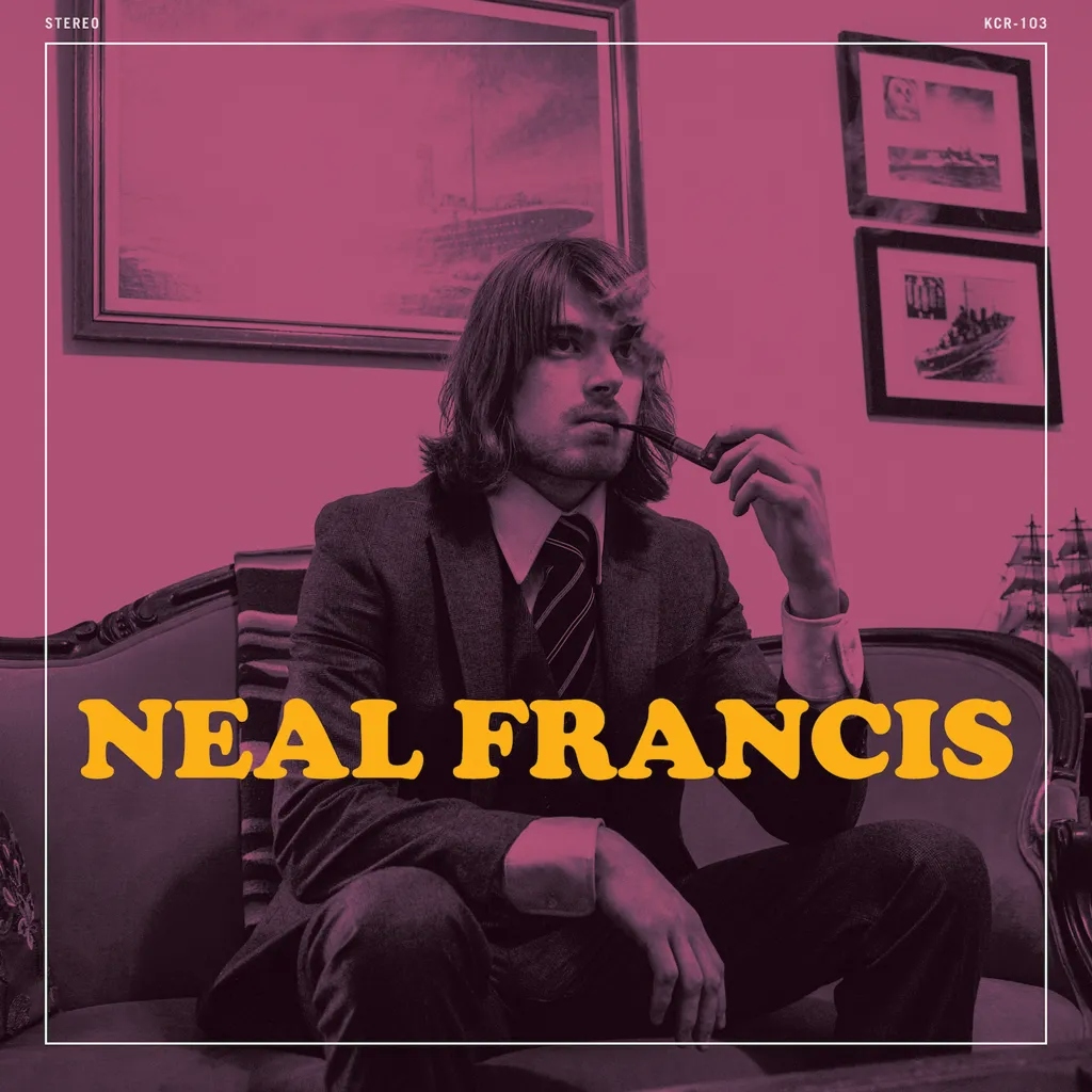 Album artwork for These Are The Days by Neal Francis