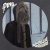 Album artwork for The Zig Zag Manoeuvre by Ping