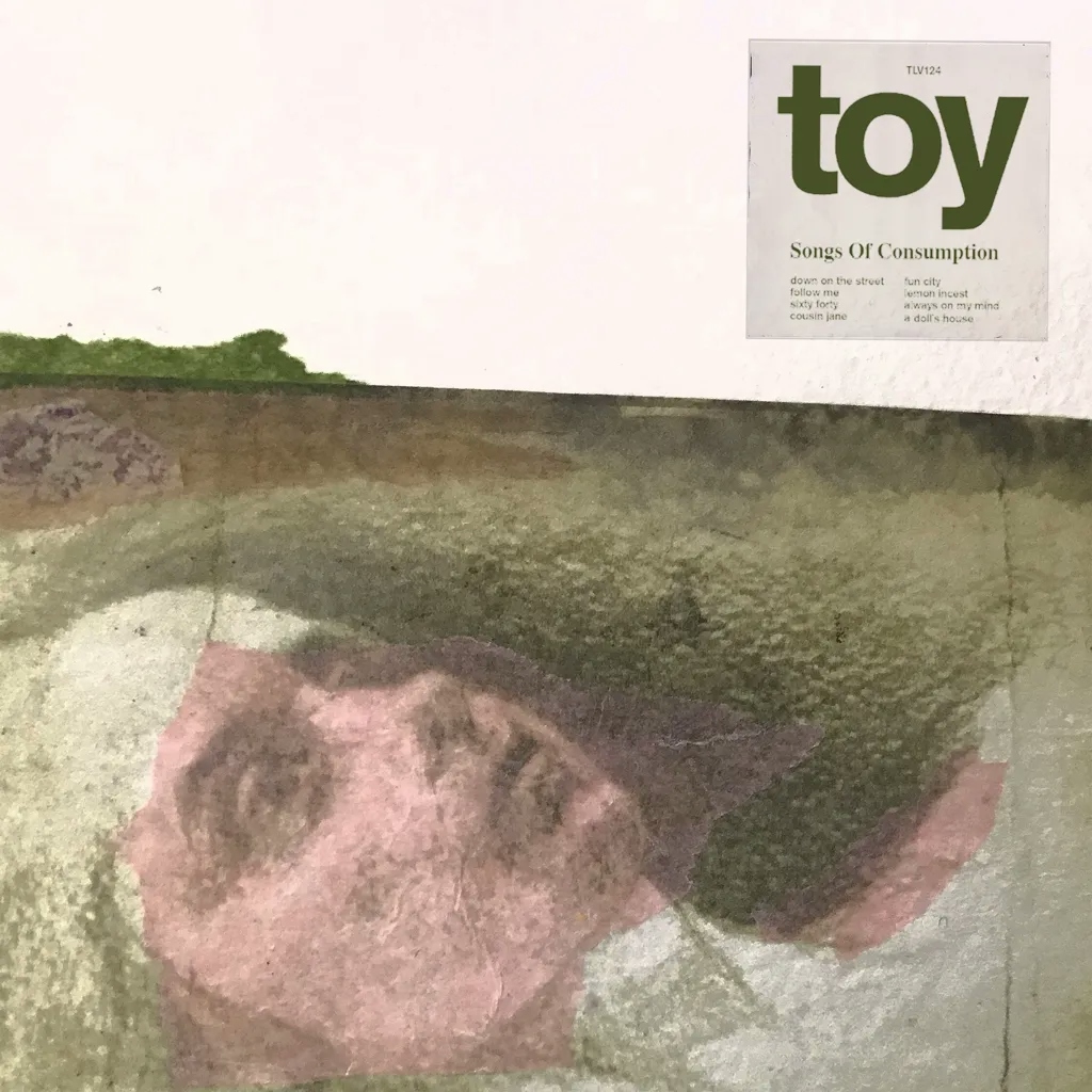Album artwork for Songs Of Consumption by Toy