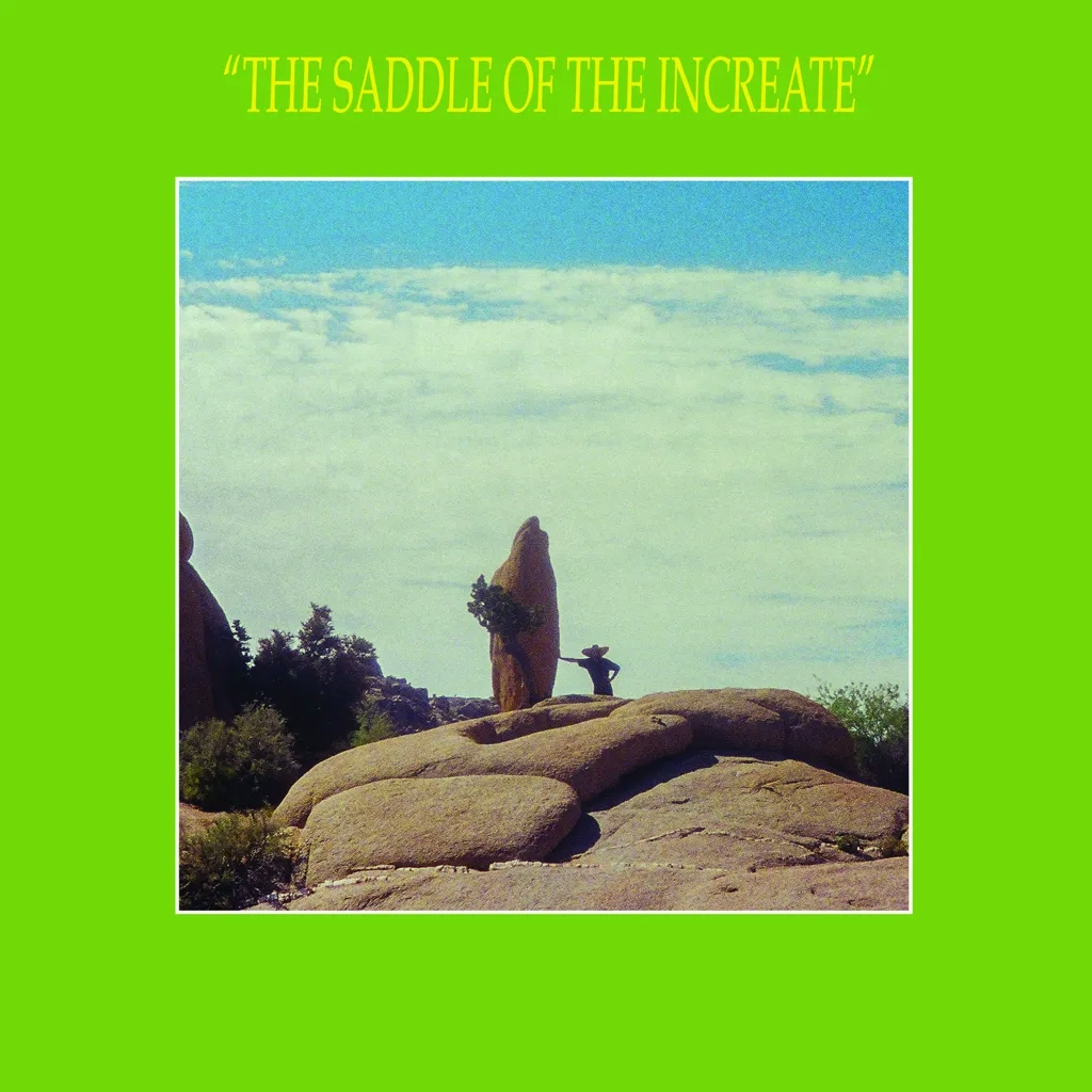 Album artwork for The Saddle of The Increate by Sun Araw