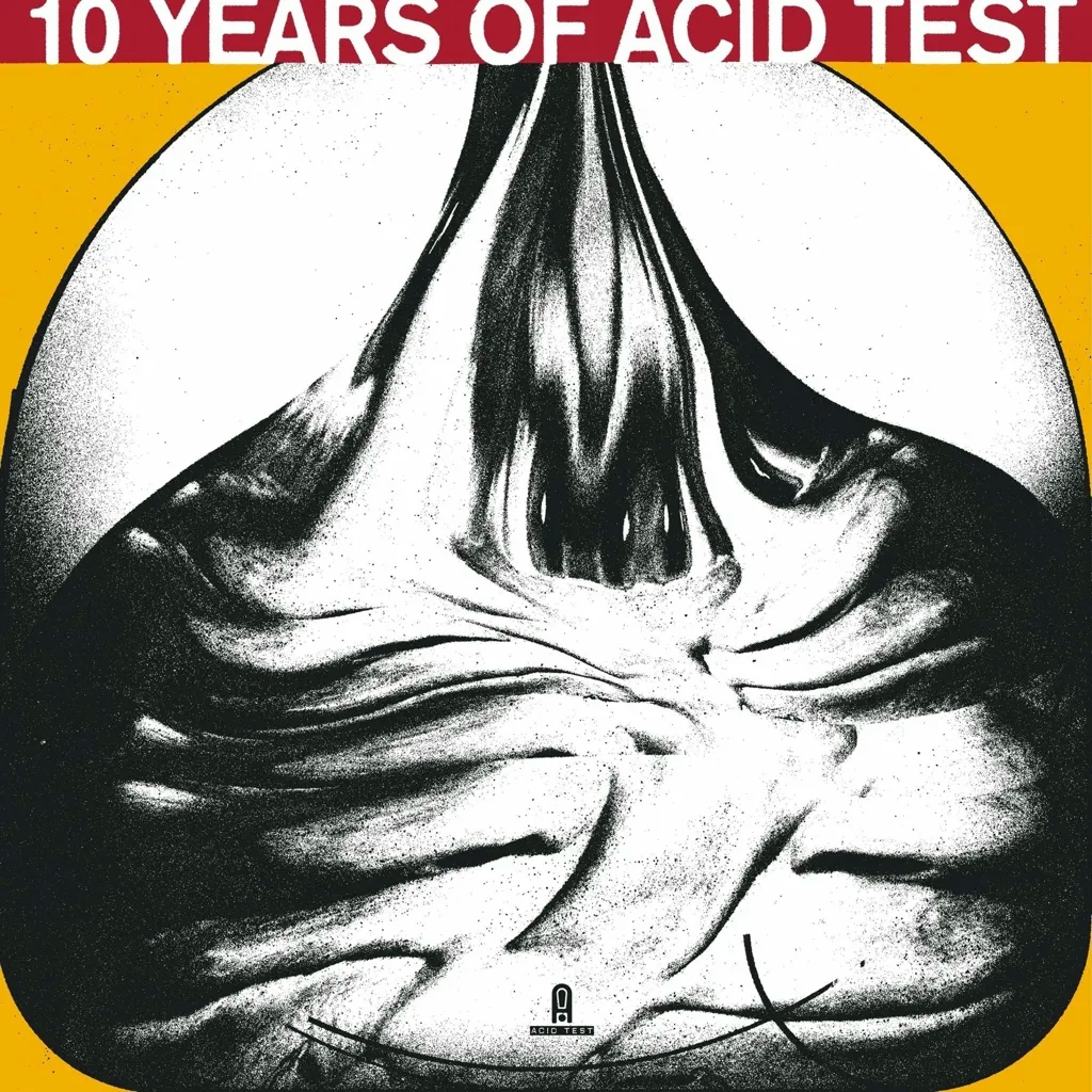 Album artwork for 10 Years of Acid Test by Various