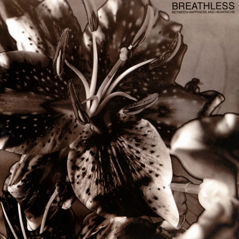 Album artwork for Between Happiness and Heartache by Breathless