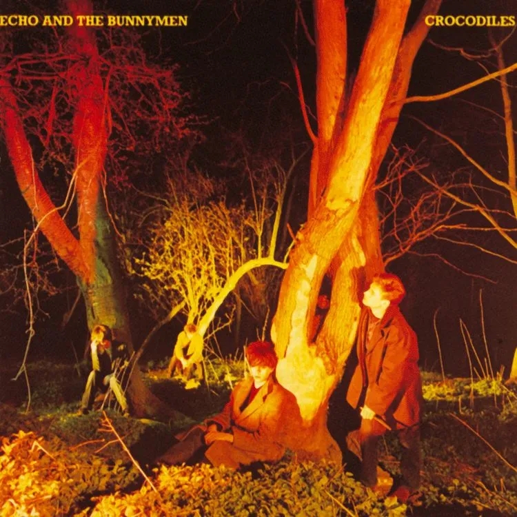 Album artwork for Crocodiles by Echo and The Bunnymen
