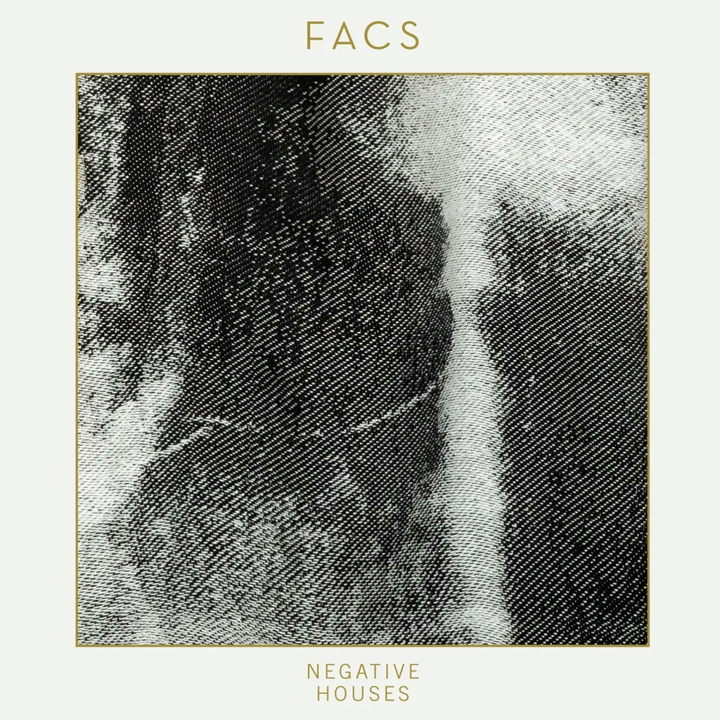 Album artwork for Negative Houses by FACS