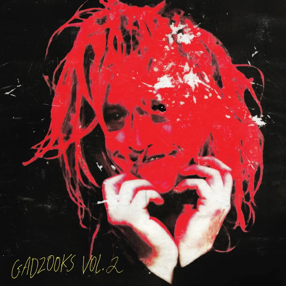 Album artwork for Gadzooks Vol. 2 by Caleb Landry Jones