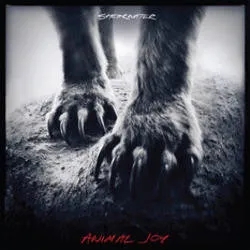 Album artwork for Animal Joy by Shearwater