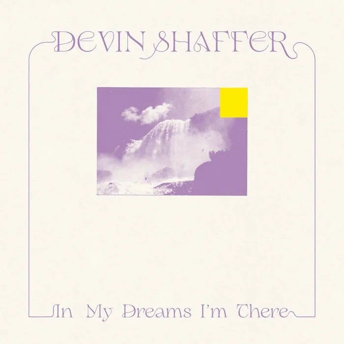 Album artwork for In My Dreams I'm There by Devin Shafer