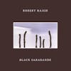 Album artwork for Black Sarabande by Robert Haigh