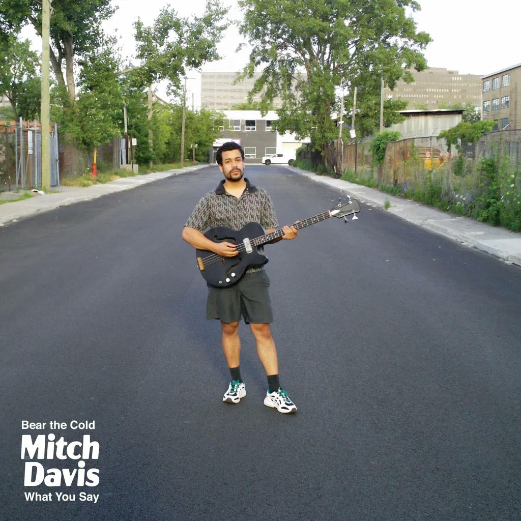 Album artwork for Bear The Cold by Mitch Davis