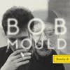 Album artwork for Beauty and Ruin by Bob Mould