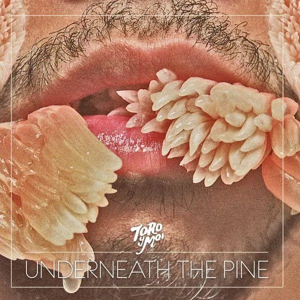 Album artwork for Underneath The Pine by Toro Y Moi