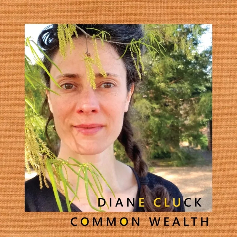 Album artwork for Common Wealth by Diane Cluck