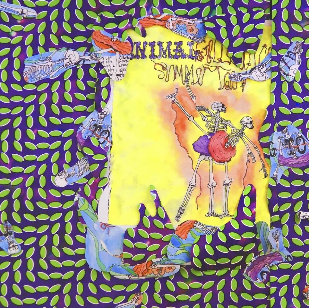 Album artwork for Ballet Slippers by Animal Collective