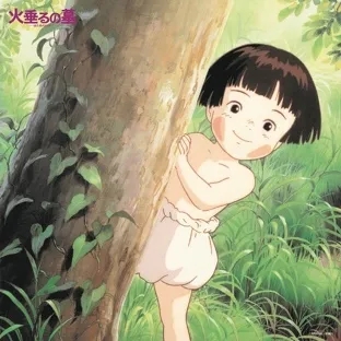 Album artwork for Grave of the Fireflies Soundtrack Collection by Studio Ghibli