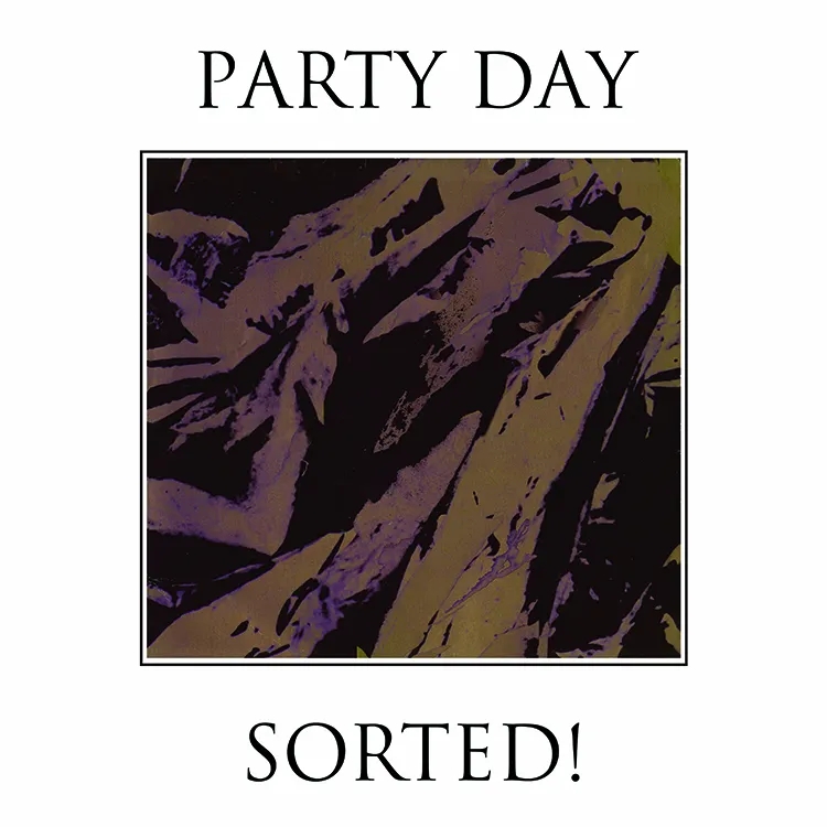 Album artwork for Sorted! by Party Day