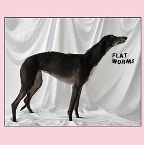 Album artwork for Flat Worms by Flat Worms