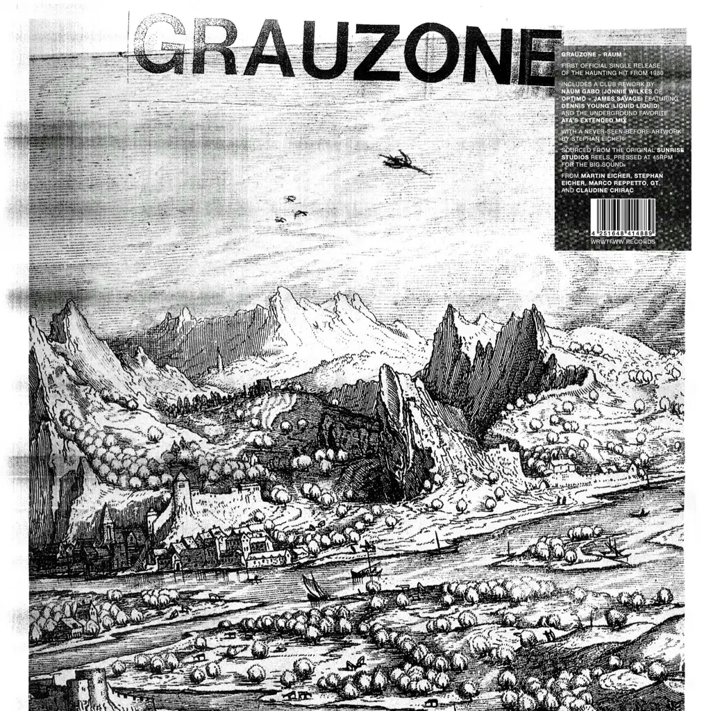 Album artwork for Raum by Grauzone