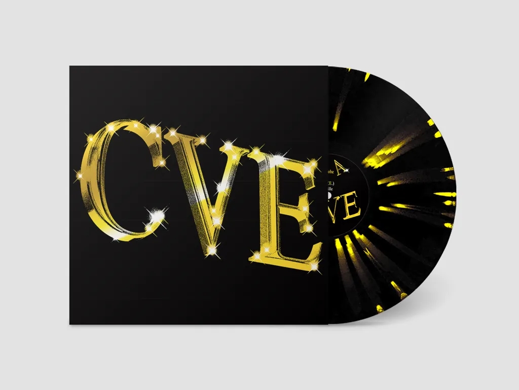 Album artwork for Chillin Villains - We Represent Billions by C.V.E.