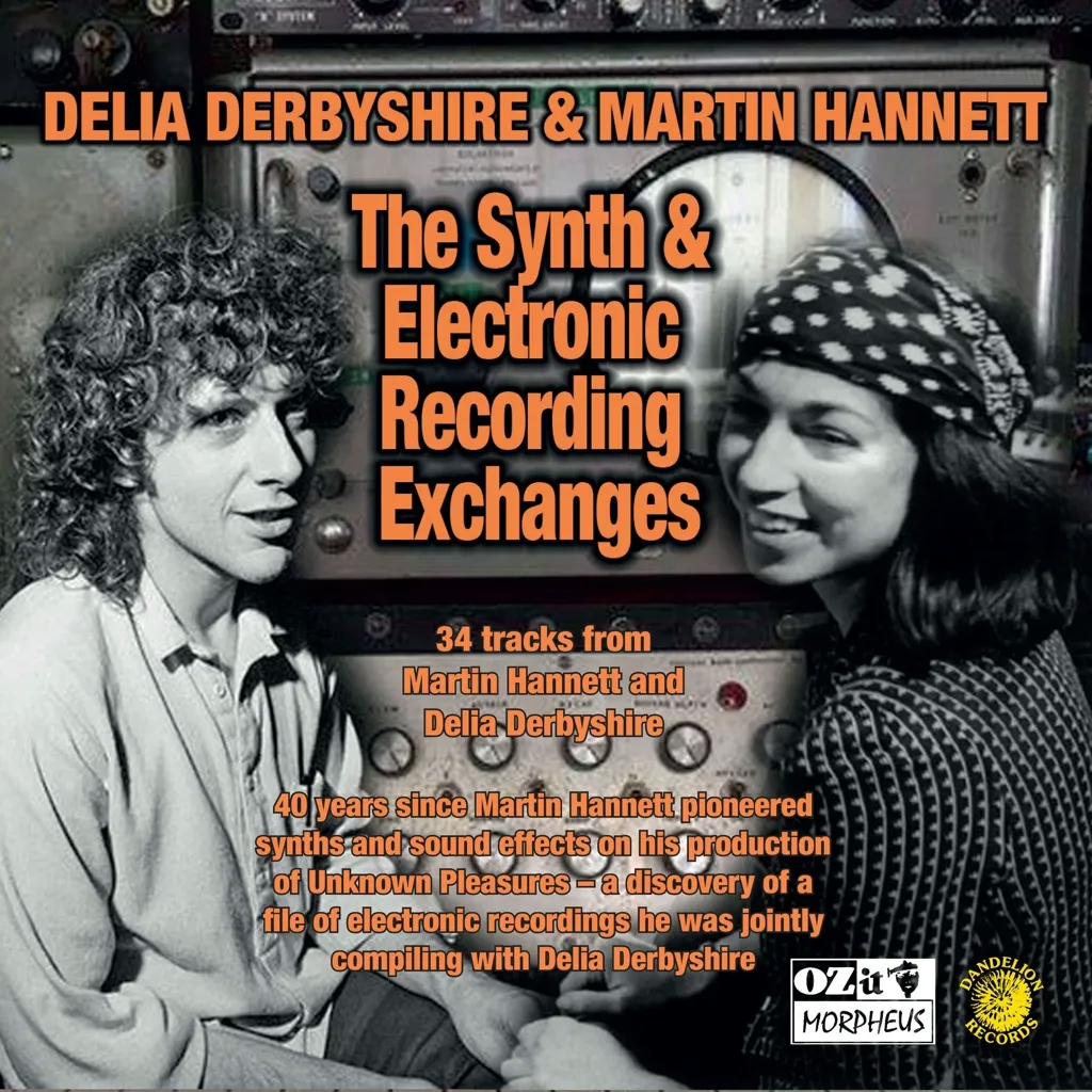 Album artwork for The Synth And Electronic Recording Exchanges by Delia Derbyshire and Martin Hannett