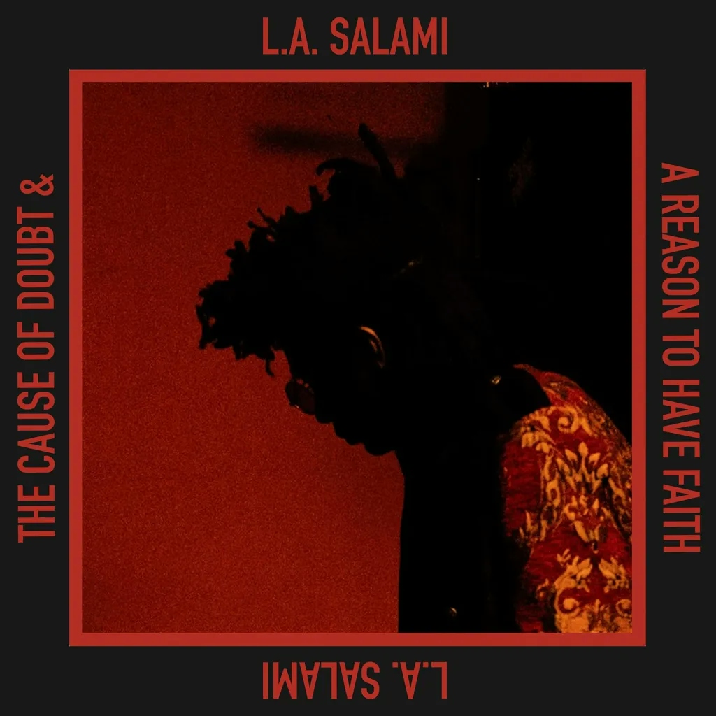 Album artwork for The Cause of Doubt & a Reason to Have Faith by LA Salami