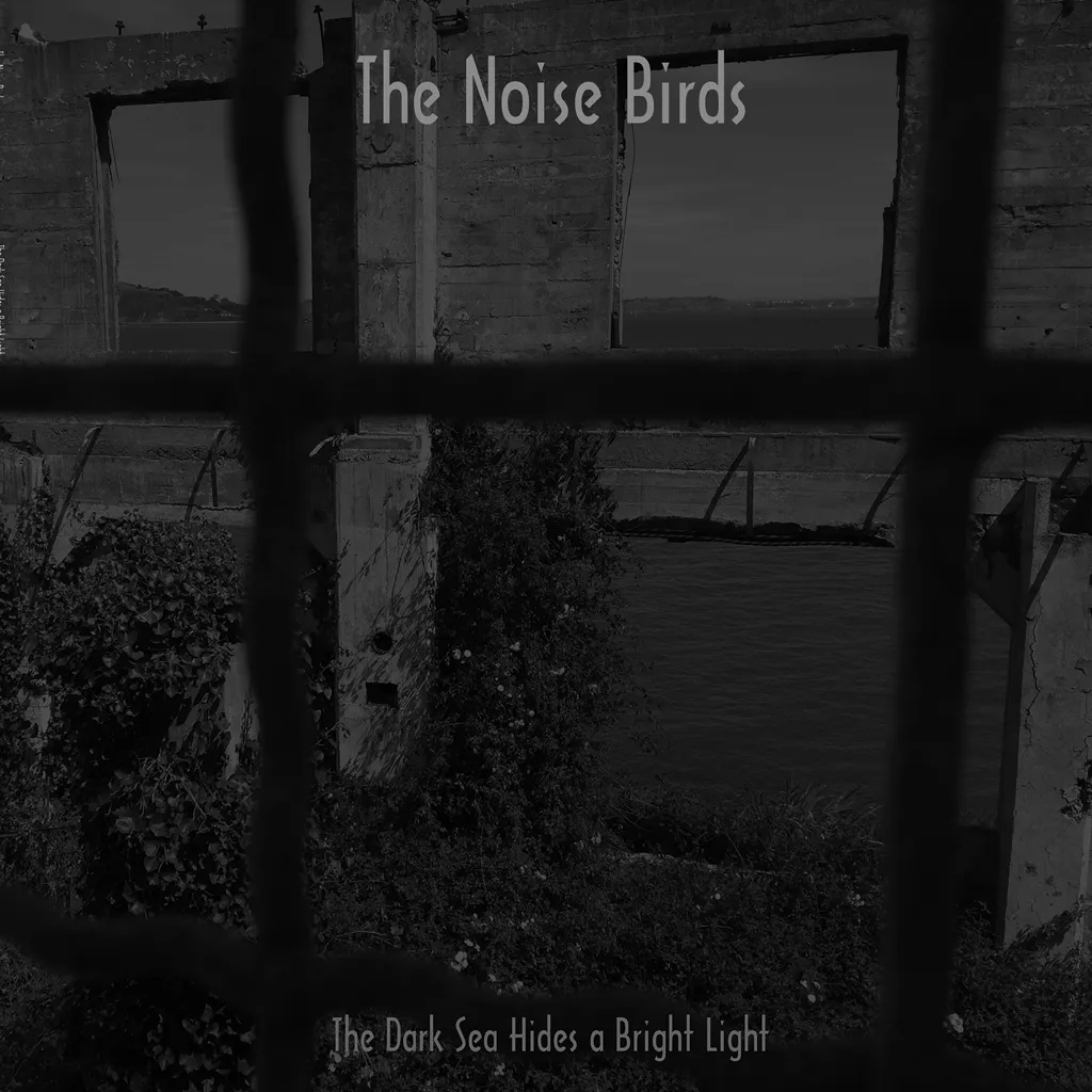 Album artwork for The Dark Sea Hides a Bright Light by The Noise Birds