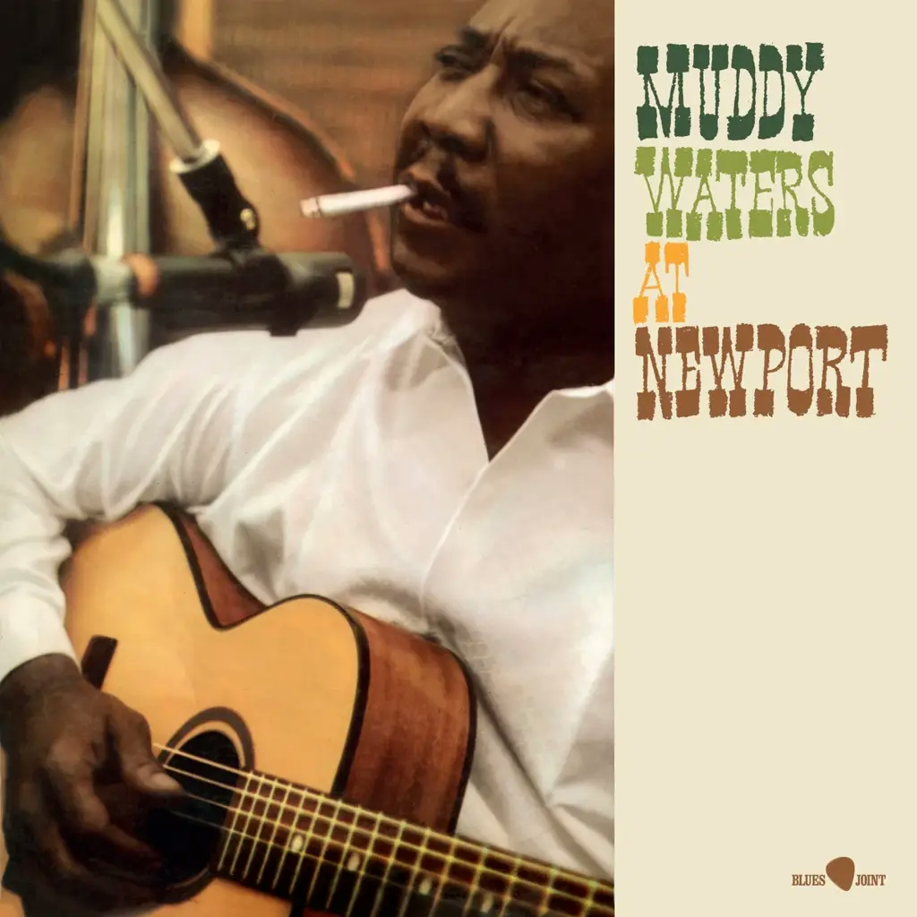 Album artwork for At Newport by Muddy Waters