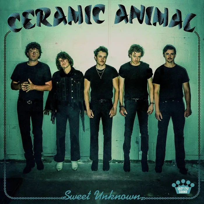 Album artwork for Sweet Unknown by Ceramic Animal