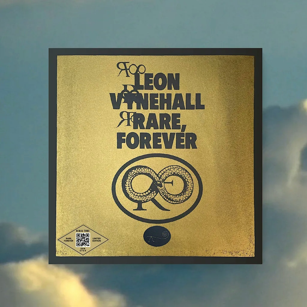 Album artwork for Album artwork for Rare, Forever by Leon Vynehall by Rare, Forever - Leon Vynehall