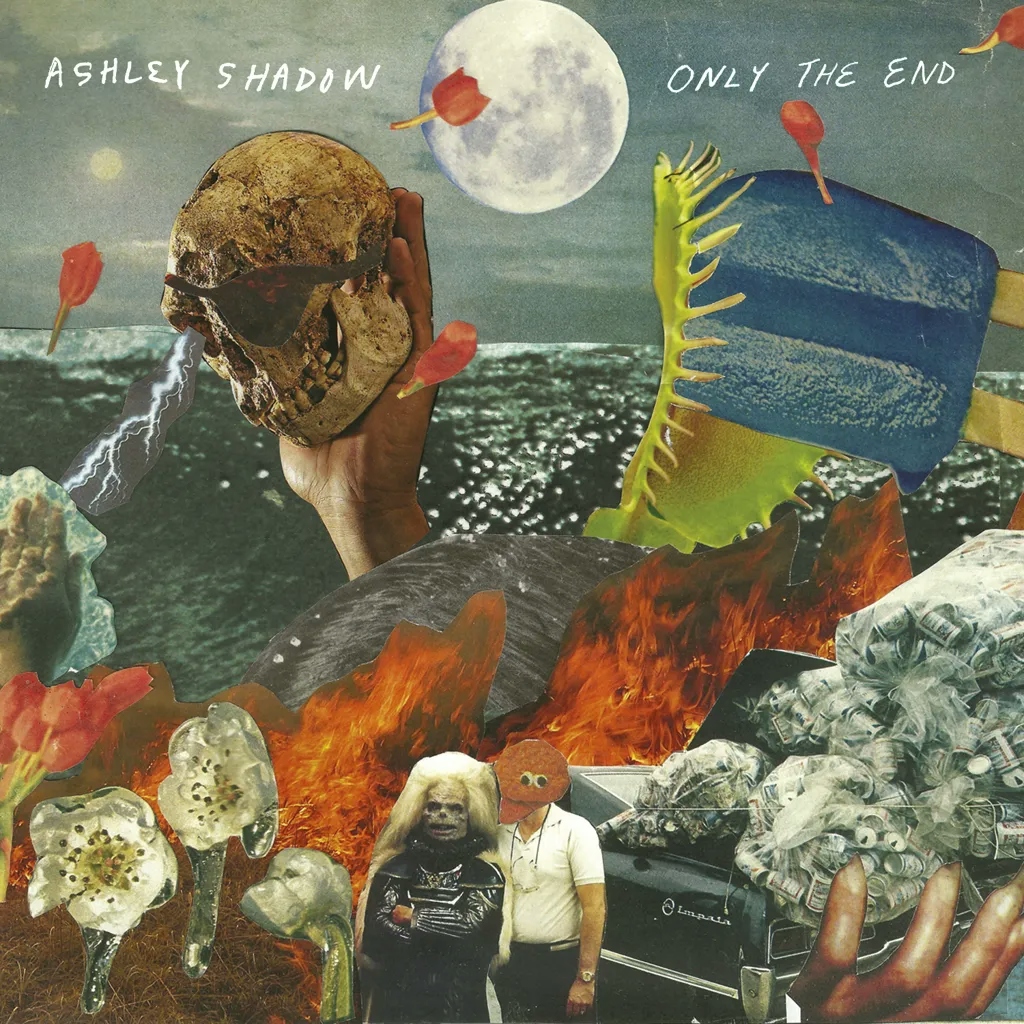 Album artwork for Only The End by Ashley Shadow