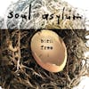 Album artwork for Born Free by Soul Asylum