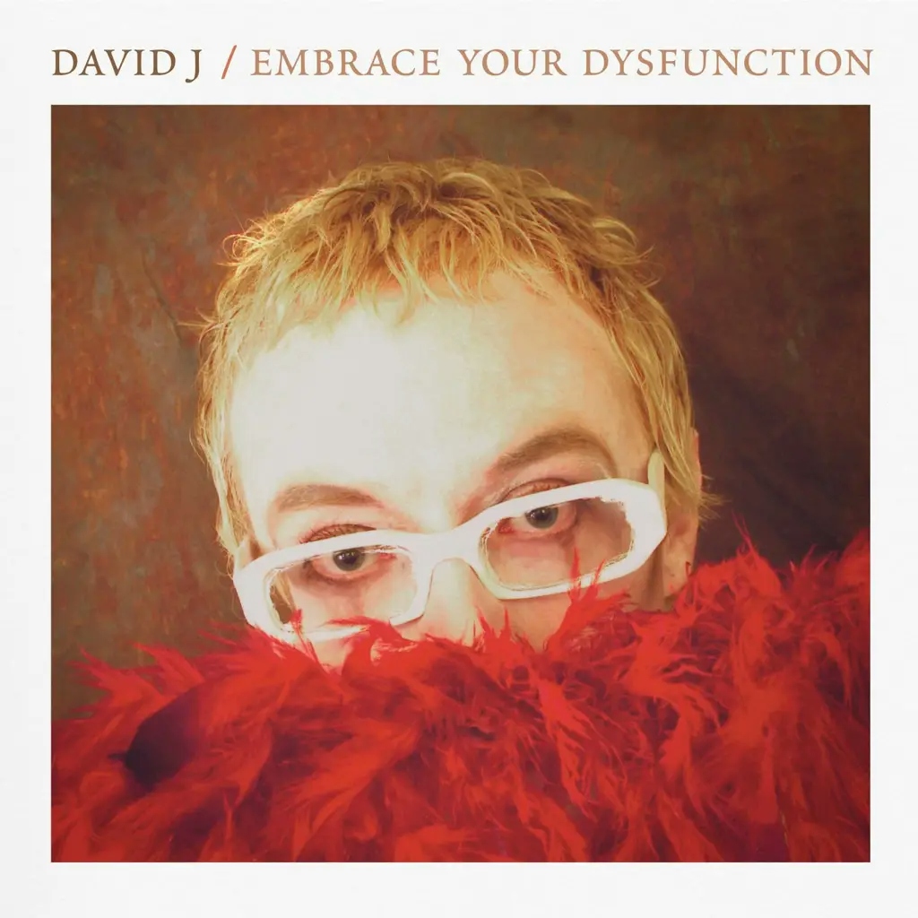 Album artwork for Embrace Your Dysfunction by David J
