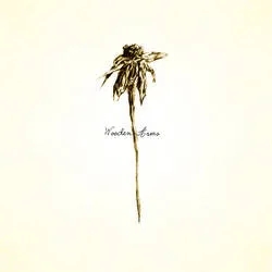 Album artwork for Wooden Arms by Patrick Watson