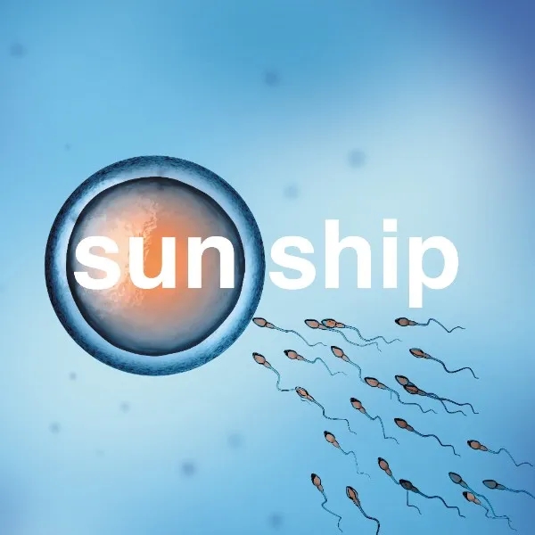 Album artwork for The Sun Ship by The Brian Jonestown Massacre