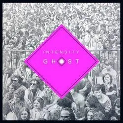 Album artwork for Intensity Ghost by Chris Forsyth and The Solar Motel Band