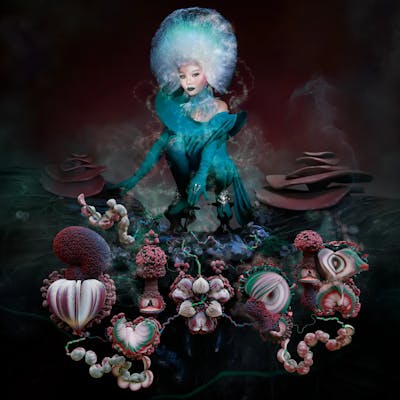 Album artwork for Fossora by Björk
