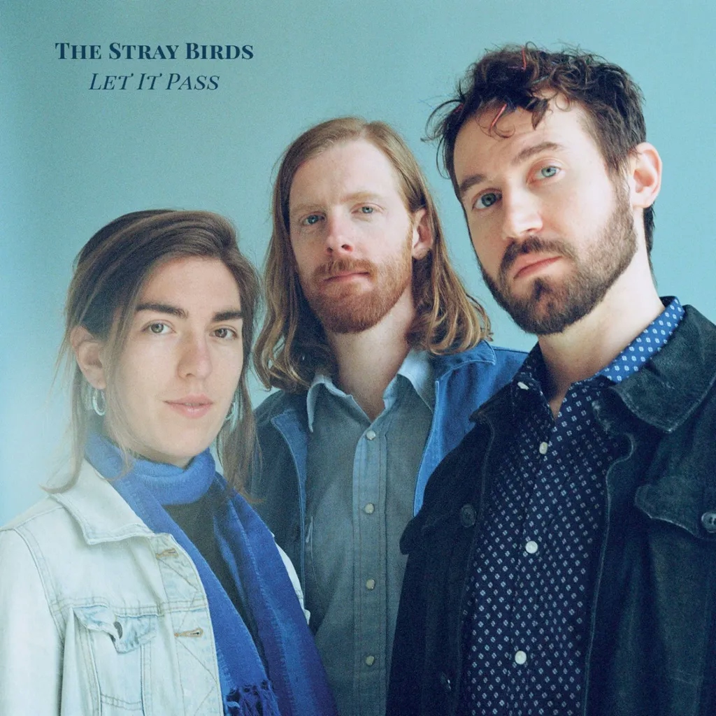 Album artwork for Let It Pass by The Stray Birds