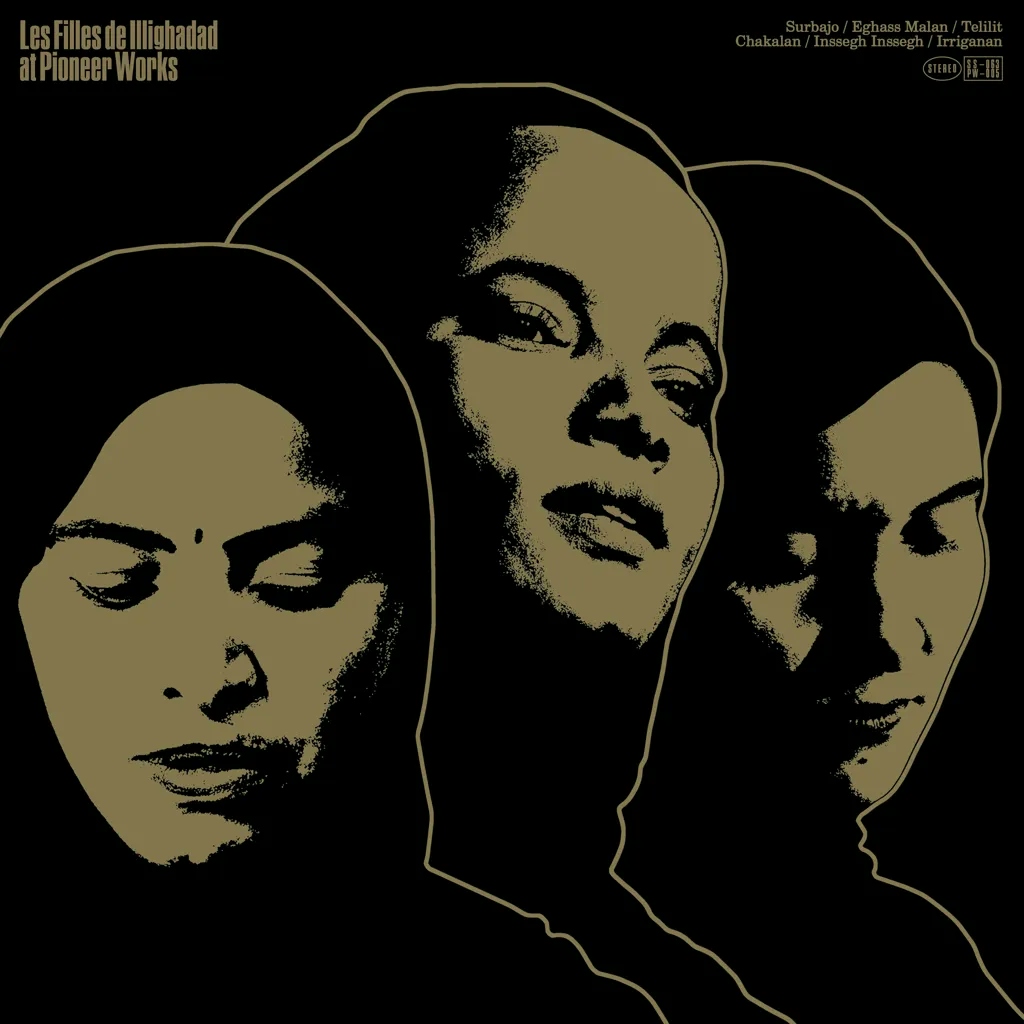 Album artwork for Album artwork for At Pioneer Works by Les Filles De Illighadad by At Pioneer Works - Les Filles De Illighadad