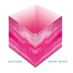 Album artwork for Mister Divine by Naytronix