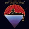 Album artwork for Cats Under The Stars by Jerry Garcia Band