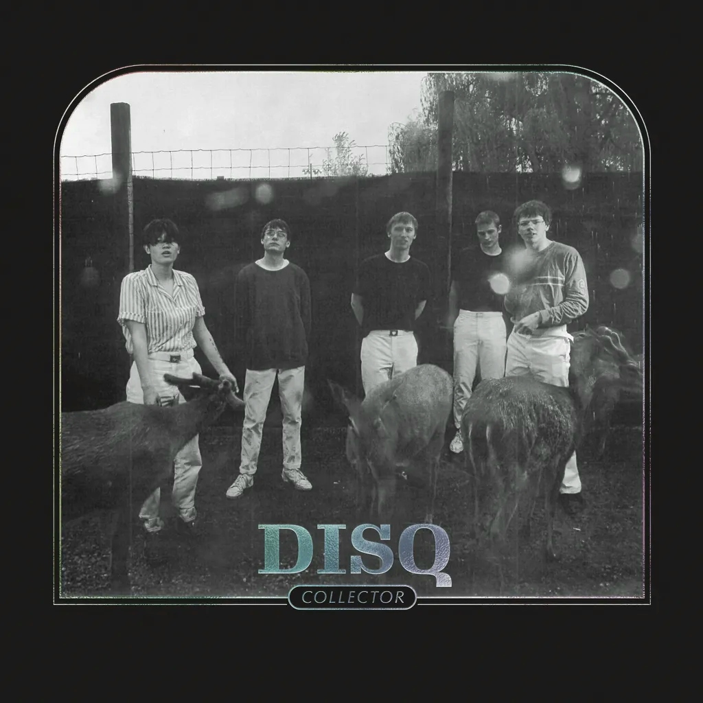 Album artwork for Album artwork for Collector by Disq by Collector - Disq