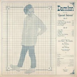 Album artwork for Special Interest by Damion