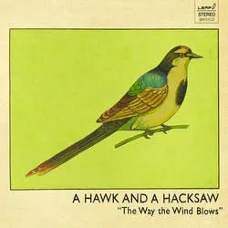 Album artwork for The Way The Wind Blows by A Hawk and A Hacksaw