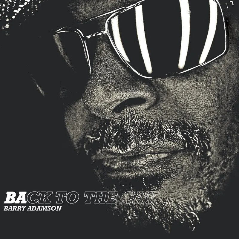 Album artwork for Back To The Cat by Barry Adamson