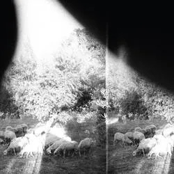 Album artwork for Asunder, Sweet and Other Distress by Godspeed You! Black Emperor