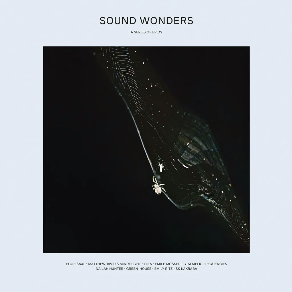 Album artwork for Sound Wonders: A Series of Epics by Various