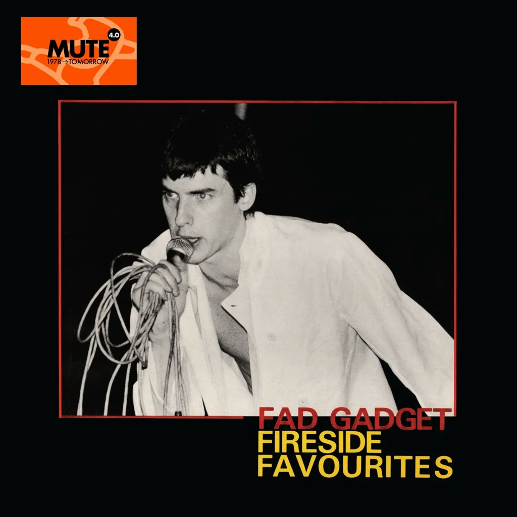 Album artwork for Fireside Favourites by Fad Gadget
