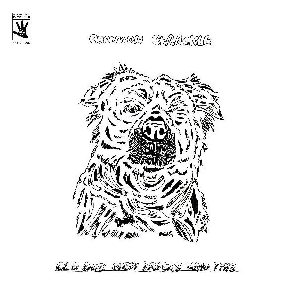 Album artwork for Old Dog New Tricks Who This by Common Grackle