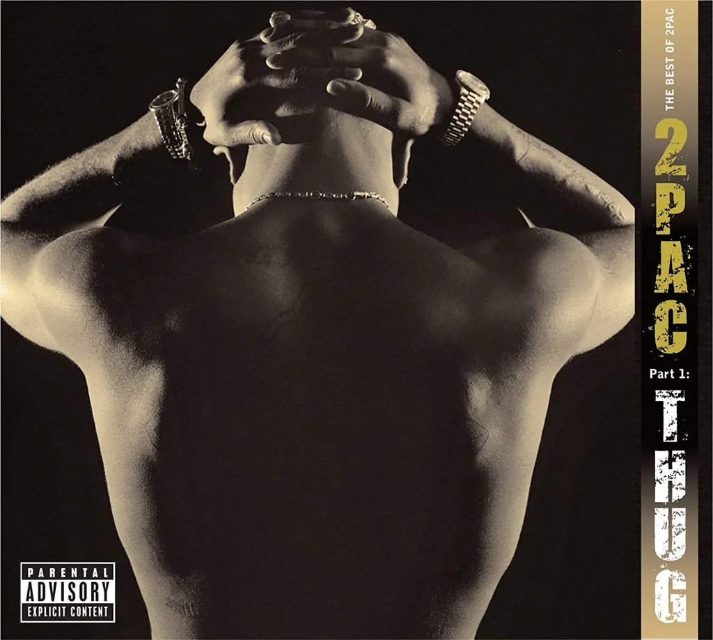 Album artwork for The Best Of 2Pac – Part 1: Thug by 2Pac